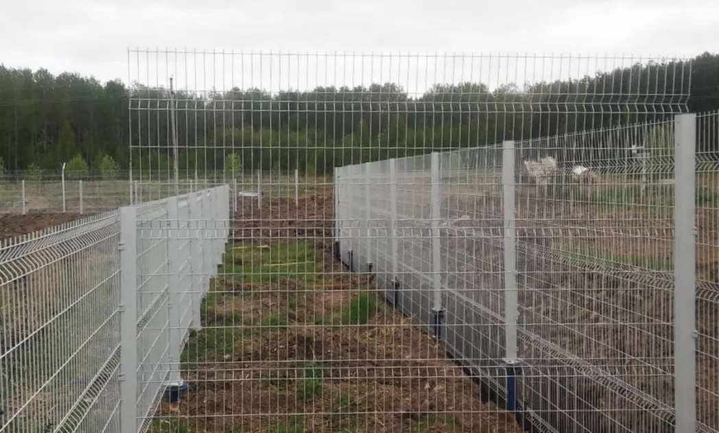 Новый элемент - 10